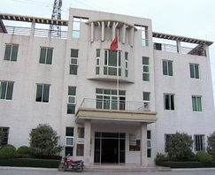 全力创建国家卫生镇 打造宜居幸福望牛墩 | 系列报道 寮厦村创卫工作成效显著